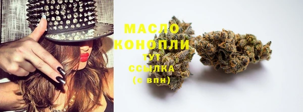 дмт Аркадак