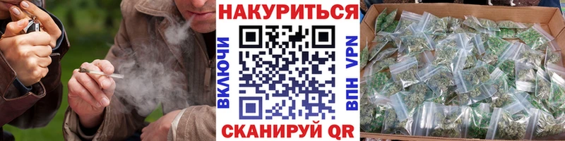 Канабис планчик Багратионовск
